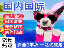太原航空货运国际宠物托运 【国